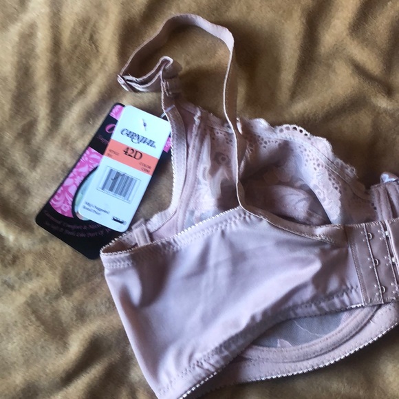 Carnival 42D Lace Underwire Bra - Picture 4 of 7